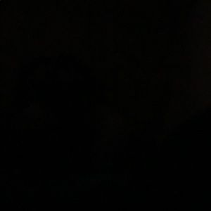 Meet your Posher, Roger